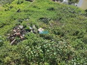 Terreno Rstico - So Gonalo, Funchal, Ilha da Madeira - Miniatura: 9/9
