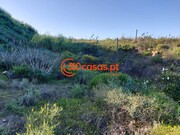 Terreno Rstico - Azinhal, Castro Marim, Faro (Algarve) - Miniatura: 5/6