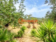 Moradia T4 - Salir, Loul, Faro (Algarve) - Miniatura: 9/9