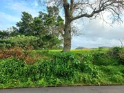 Terreno Rstico - Santana, Santana, Ilha da Madeira - Miniatura: 1/4