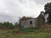 Terreno Rstico - Santana, Santana, Ilha da Madeira - Miniatura: 4/4