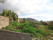 Terreno Rstico - Santa Maria Maior, Funchal, Ilha da Madeira - Miniatura: 3/5