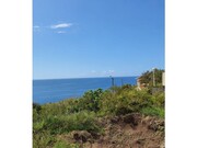 Terreno Rstico - Canio, Santa Cruz, Ilha da Madeira - Miniatura: 4/4
