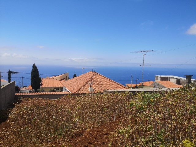 Terreno Rústico - Santa Maria Maior, Funchal, Ilha da Madeira - Imagem grande