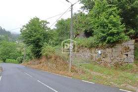 Terreno Rstico T0 - Souselo, Cinfes, Viseu - Miniatura: 12/13