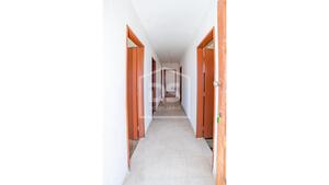 Moradia T6 - S, Bragana, Bragana - Miniatura: 13/24