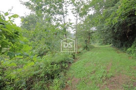 Terreno R�stico T0 - Souselo, Cinf�es, Viseu - Miniatura: 19/24