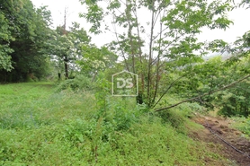 Terreno R�stico T0 - Souselo, Cinf�es, Viseu - Miniatura: 20/24