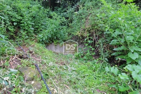 Terreno R�stico T0 - Souselo, Cinf�es, Viseu - Miniatura: 21/24