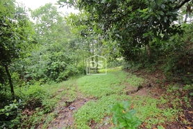 Terreno R�stico T0 - Souselo, Cinf�es, Viseu - Miniatura: 22/24