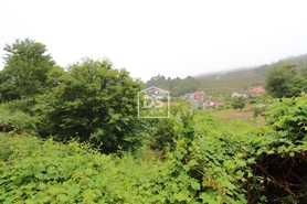 Terreno R�stico T0 - Souselo, Cinf�es, Viseu - Miniatura: 24/24