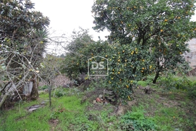 Moradia T1 - Canelas, Penafiel, Porto - Miniatura: 4/14