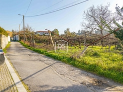 Terreno R�stico T0 - Paredes, Paredes, Porto - Miniatura: 8/9