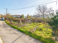 Terreno R�stico T0 - Paredes, Paredes, Porto - Miniatura: 9/9