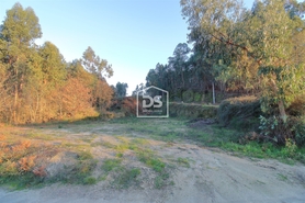 Terreno R�stico T0 - Aveleda, Lousada, Porto