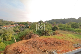 Terreno Rstico T0 - Canelas, Penafiel, Porto - Miniatura: 5/21