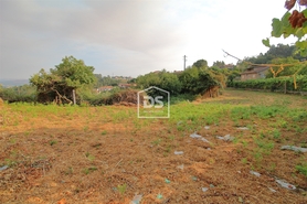 Terreno Rstico T0 - Canelas, Penafiel, Porto - Miniatura: 10/21