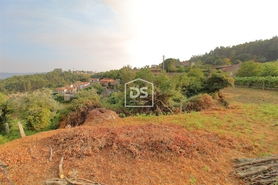 Terreno Rstico T0 - Canelas, Penafiel, Porto - Miniatura: 13/21