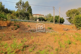 Terreno Rstico T0 - Canelas, Penafiel, Porto - Miniatura: 14/21
