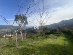 Quinta T0 - Santiago de Pies, Cinfes, Viseu - Miniatura: 6/17