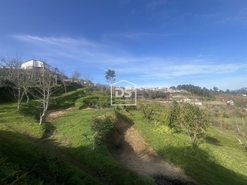 Quinta T0 - Santiago de Pies, Cinfes, Viseu - Miniatura: 8/17