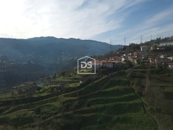 Quinta T0 - Santiago de Pies, Cinfes, Viseu - Miniatura: 9/17