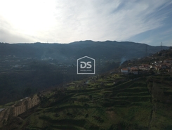 Quinta T0 - Santiago de Pies, Cinfes, Viseu - Miniatura: 10/17