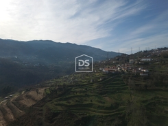 Quinta T0 - Santiago de Pies, Cinfes, Viseu - Miniatura: 11/17