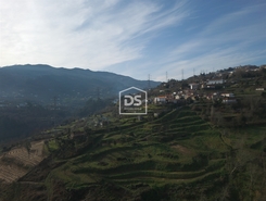 Quinta T0 - Santiago de Pies, Cinfes, Viseu - Miniatura: 12/17