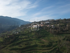 Quinta T0 - Santiago de Pies, Cinfes, Viseu - Miniatura: 13/17