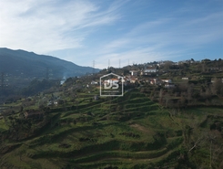 Quinta T0 - Santiago de Pies, Cinfes, Viseu - Miniatura: 14/17