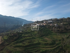 Quinta T0 - Santiago de Pies, Cinfes, Viseu - Miniatura: 15/17