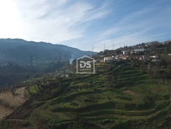 Quinta T0 - Santiago de Pies, Cinfes, Viseu - Miniatura: 16/17