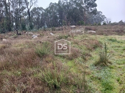Terreno R�stico T0 - Duas Igrejas, Penafiel, Porto - Miniatura: 4/11