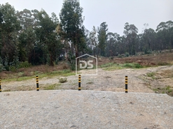 Terreno R�stico T0 - Duas Igrejas, Penafiel, Porto - Miniatura: 5/11