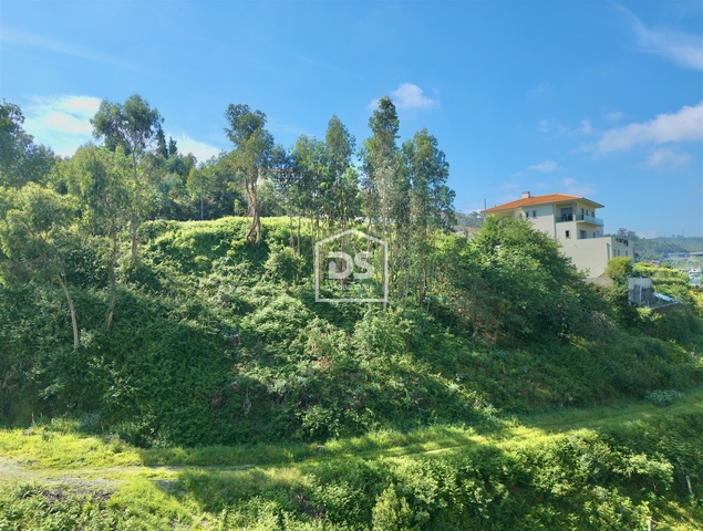 Terreno Rstico T0 - Rebordosa, Paredes, Porto - Imagem grande