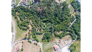 Terreno Rstico T0 - Gouveia (So Simo), Amarante, Porto