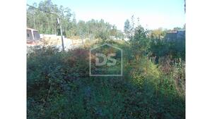 Terreno Rstico T0 - Argoncilhe, Santa Maria da Feira, Aveiro - Miniatura: 3/24