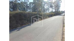 Terreno Rstico T0 - Argoncilhe, Santa Maria da Feira, Aveiro - Miniatura: 4/24