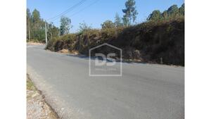 Terreno Rstico T0 - Argoncilhe, Santa Maria da Feira, Aveiro - Miniatura: 5/24