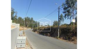 Terreno Rstico T0 - Argoncilhe, Santa Maria da Feira, Aveiro - Miniatura: 10/24