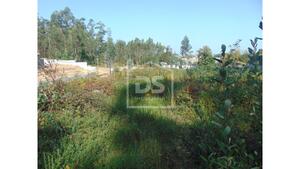 Terreno Rstico T0 - Argoncilhe, Santa Maria da Feira, Aveiro - Miniatura: 12/24