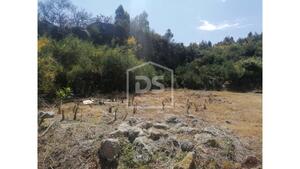 Terreno Rstico T0 - Cete, Paredes, Porto - Miniatura: 10/17