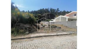 Terreno Rstico T0 - Cete, Paredes, Porto - Miniatura: 12/17