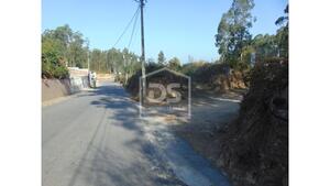 Terreno Rstico T0 - Argoncilhe, Santa Maria da Feira, Aveiro - Miniatura: 14/24