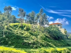 Terreno Rstico T0 - Rebordosa, Paredes, Porto - Miniatura: 5/23