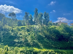 Terreno Rstico T0 - Rebordosa, Paredes, Porto - Miniatura: 8/23