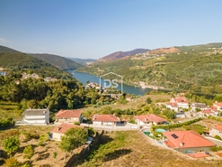 Terreno Rstico T0 - Santa Maria de Sardoura, Castelo de Paiva, Aveiro - Miniatura: 2/12