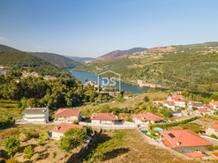 Terreno Rstico T0 - Santa Maria de Sardoura, Castelo de Paiva, Aveiro - Miniatura: 3/12