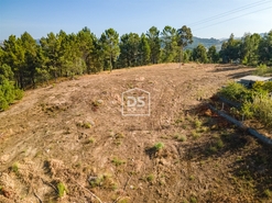 Terreno Rstico T0 - Santa Maria de Sardoura, Castelo de Paiva, Aveiro - Miniatura: 5/12